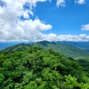 5월30일 목요일. 경북 영주. 정상 암봉군과 산행길 키를넘는 철쭉물결 &#39;소백산 도솔봉&#39; 이미지