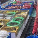 바다한접시 - 충주시 연수동산로6길 6 | 바다한접시
