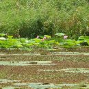 마루공원 축구장_2 이미지