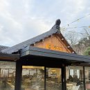 탑애견 강아지 고양이 대전점 | 대전 애견동반가능한 카페 예이제448 내돈내산 솔직후기