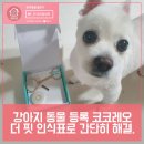 더 레오 핏 이미지