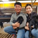 누리소농장 이미지