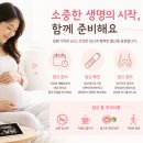 선일약국 | [임신 정보] 임신테스트기 사용시기 사용법 주의사항 총정리｜얼리 임테기 종류 후기까지