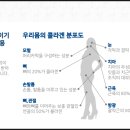 뷰티피엠 이미지