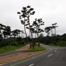 능원2리 이미지