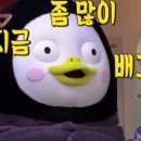 신나라김밥 네이버블로그