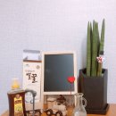 돌실농장 이미지