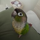 순천 반려동물장례식장 하늘별 이미지