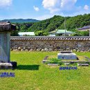 금성대군 Daum카페