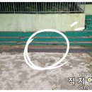 여문초교병설유치원 이미지