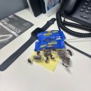 파주종로약국 | 날씨가 좋다가 벌써 추워진 10월엔 뭐 했나