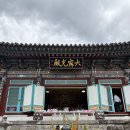 하루에한번은