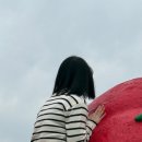 토마토쌈지