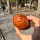 둔둘마경로당 | 인천 두쫀쿠 맛집 [팔레트디저트] 두바이쫀득쿠키와 버터떡과 마카롱 &amp; 진시황 감자탕 뼈해장국 후기