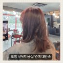 스타일 노리터 포항문덕점 | 포항 문덕미용실 추천 바이더벨라 염색 후기