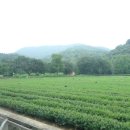 설립누리 행정사사무소 이미지