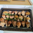 버섯공인중개사사무소 이미지