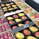 파주청과 이미지