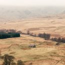 자연민박 이미지