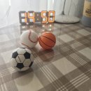 장보는고양이경주점