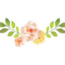 해바라기자연유치원 이미지