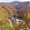 민주지산자연휴양림 이미지