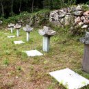 지도 두류단 이미지