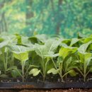 경기종묘농자재 이미지