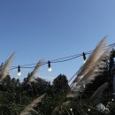 모이라펜션 이미지