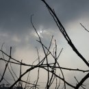 대일2농장 이미지