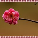 살아생전 이미지