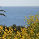 소노캄제주WEST동 이미지