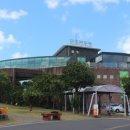 감귤박물관 위 이미지