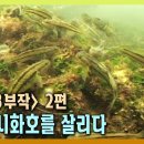 [환경스페셜] 바닷물이 유입되면서 서서히 살아나기 시작한 시화호 생태계 이미지