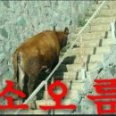 럭셔리수룸소주방 - 광산구 임방울대로 335 | 럭셔리수룸소주방