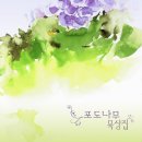 (주)포도스튜디오 이미지