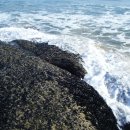 상수민박 이미지