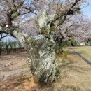 성송초등학교 이미지