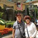 2019-주113 이미지