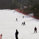 지산로5번길 | 지산리조트 어린이 스키강습으로 자신감 up