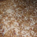 구미곤충산업농장 이미지