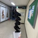 왕가탕후루속초중앙점 네이버블로그