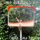 대평농장 | 제주 올레길 9코스 완주 추천 대평포구 &gt; 군산오름 &gt; 화순금모래 해변