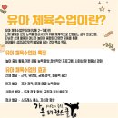 해맞이태권도 이미지