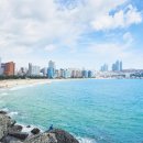 해운대로 570번길46 이미지