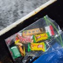 온라인릴게임 | [공지] &#39;25. 10. 4(토) 4물 마검포 힐링피싱호 신진도 갑오징어 낚시(대박조행기, 후기)