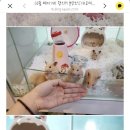 특별한 동물가게 광주점 이미지