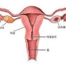 난손