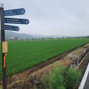 산정마을농로 이미지