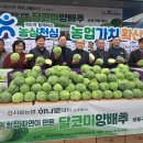 서울서남부농협하나로마트 이미지